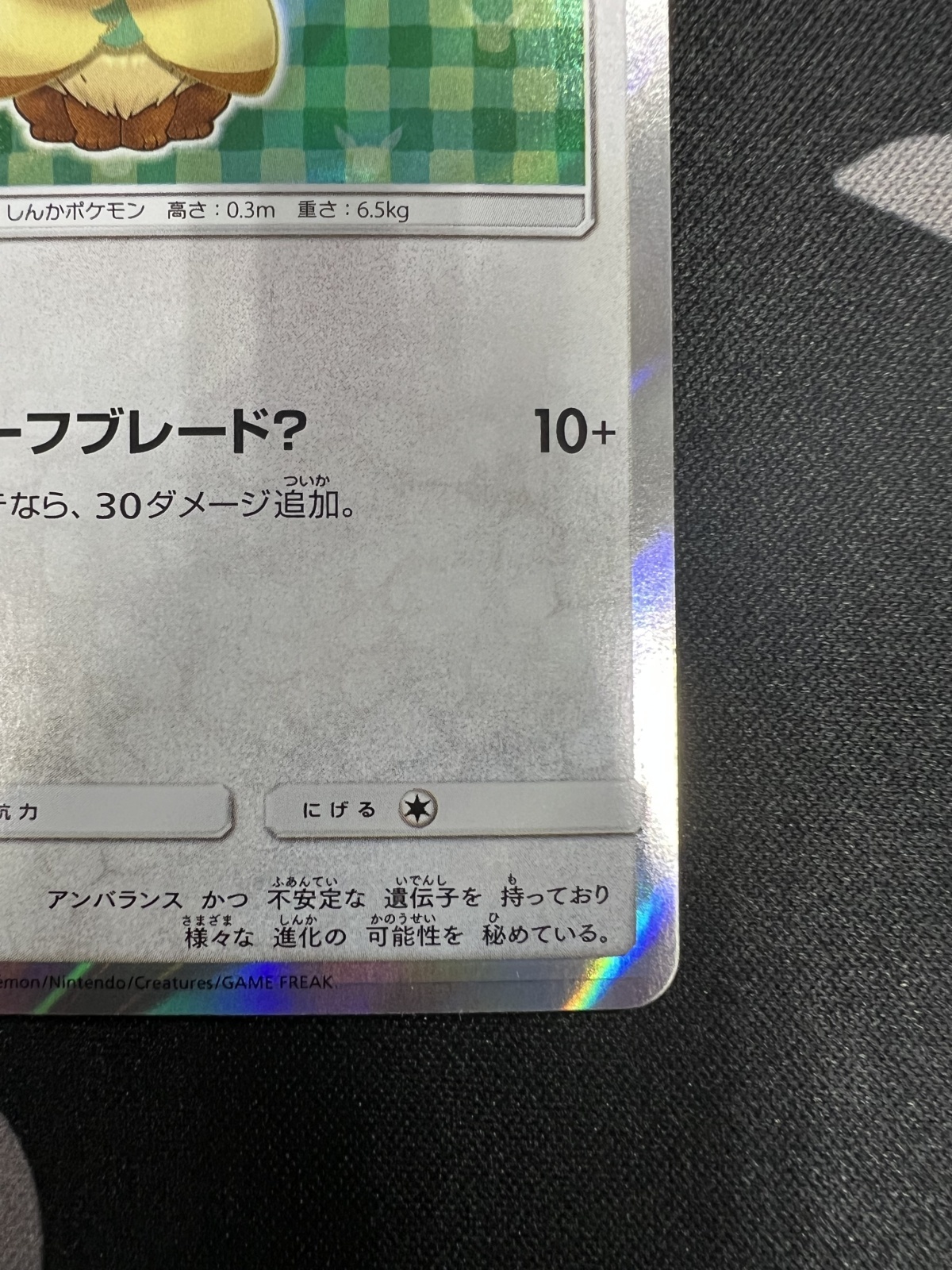状態B】ポンチョを着たイーブイ(リーフィア)(142/SM-P) - トレカ侍通販