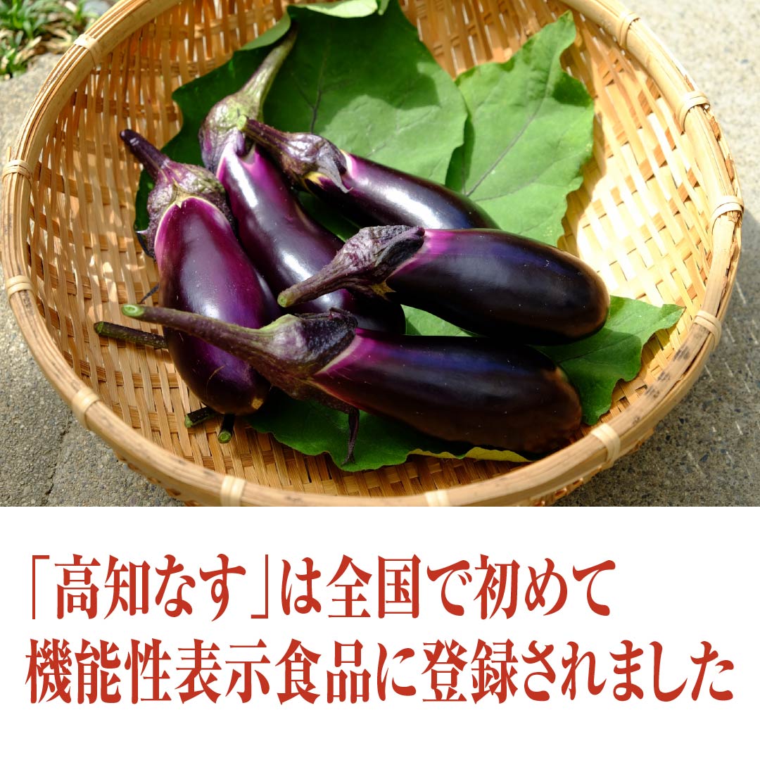 機能性表示食品「高知なす」(12kg/3本×50袋)AM【通常納期より数日要す