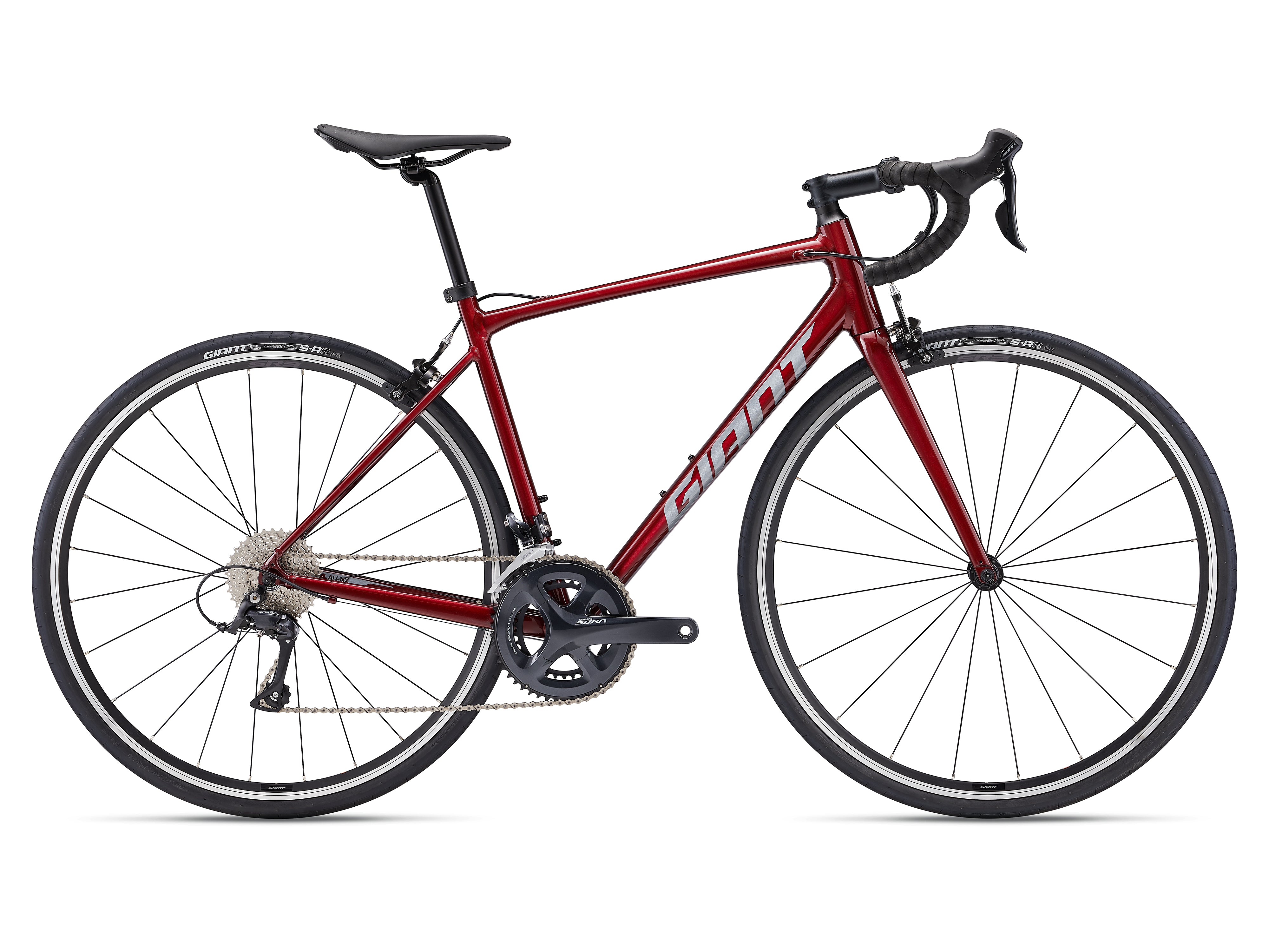 Giant Contend 1 (2024) | Tay Junction