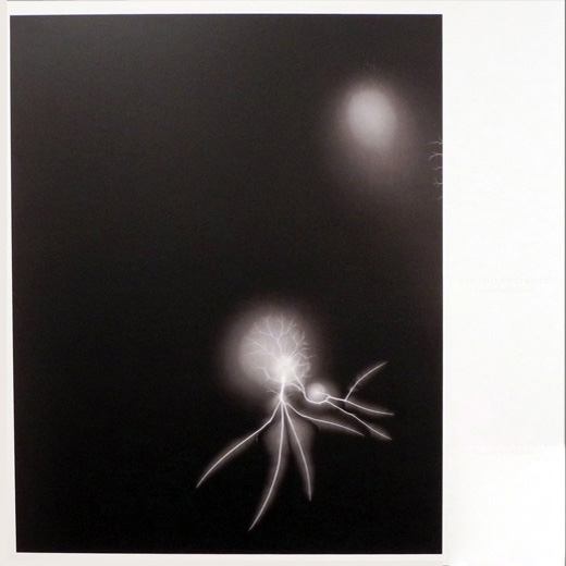 杉本博司,Hiroshi Sugimoto|@GALLERY TAGBOAT