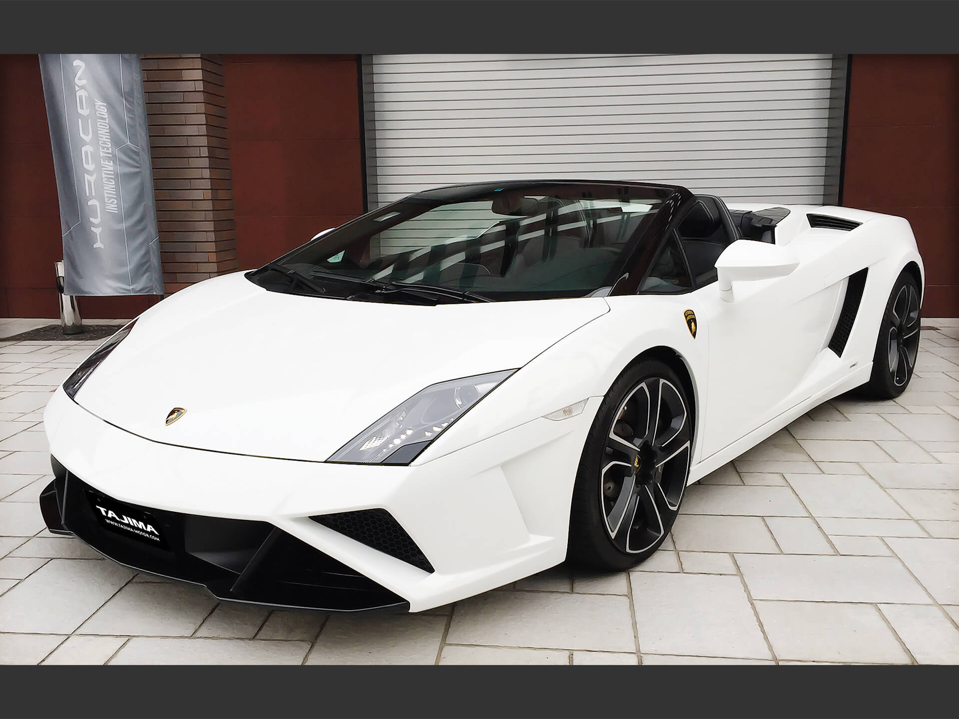 ランボルギーニ ガヤルド LP560-4 スパイダー 50th Anniversary タジマ