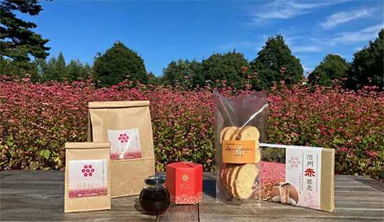 希少な赤ソバ「高嶺ルビー」の魅力を全国へ「令和7年度長野県産品商談