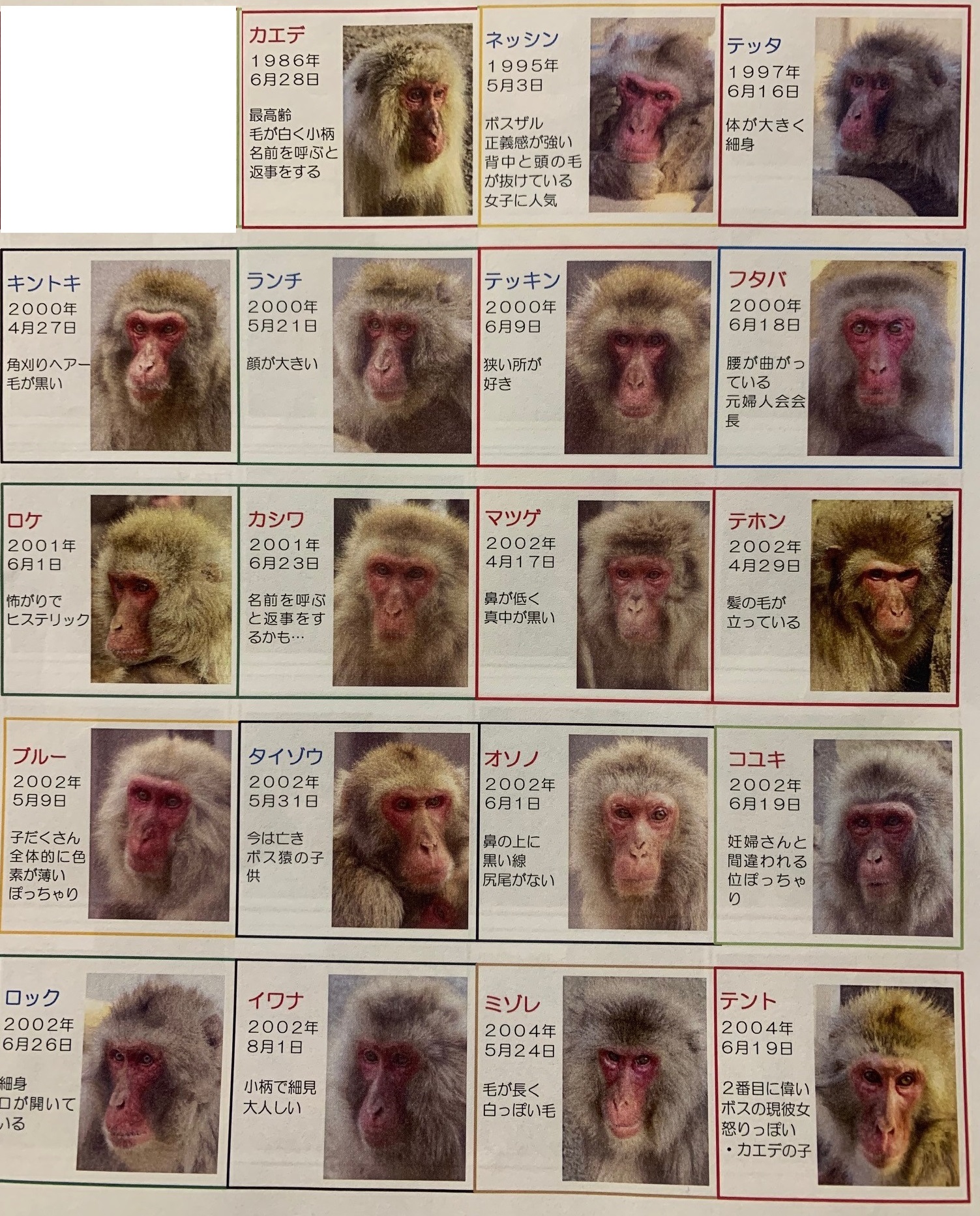 おさるさん紹介 | 高尾山さる園ブログ