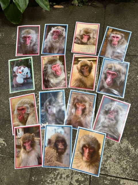 高尾山さる園ブログ | かわいいサル達の日常をお届けします。 - Part 10