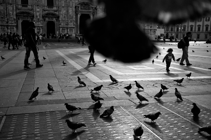 DGSM ゼラチン・シルバー・プリント - TAKAHASHI-DESIGN/BLOG