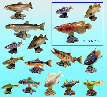 原色淡水魚図鑑I｜商品情報｜タカラトミーアーツ