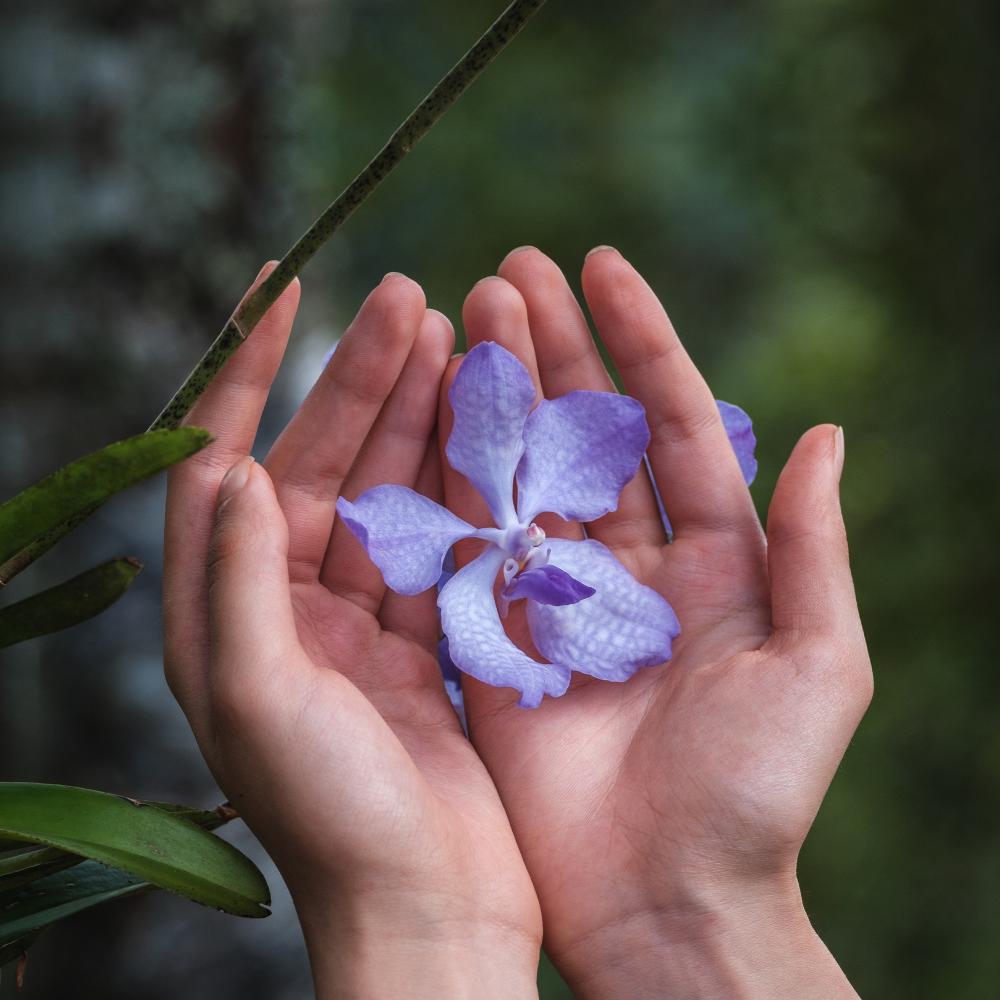 GUERLAIN（ゲラン） オーキデ アンペリアル ザ ロンジェビティ