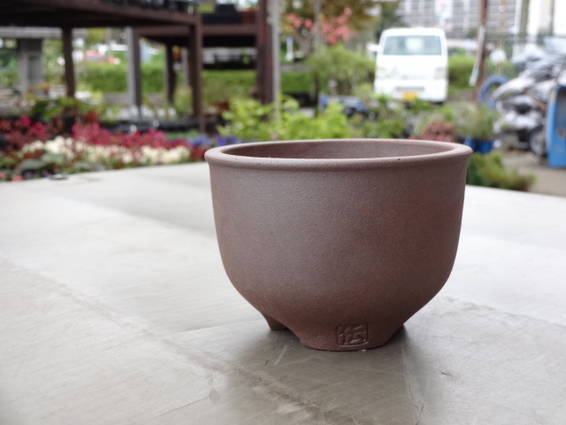 山野草鉢/蘭鉢の販売通販（伝市鉢 コウロ型2.5号） 株式会社 原田園芸