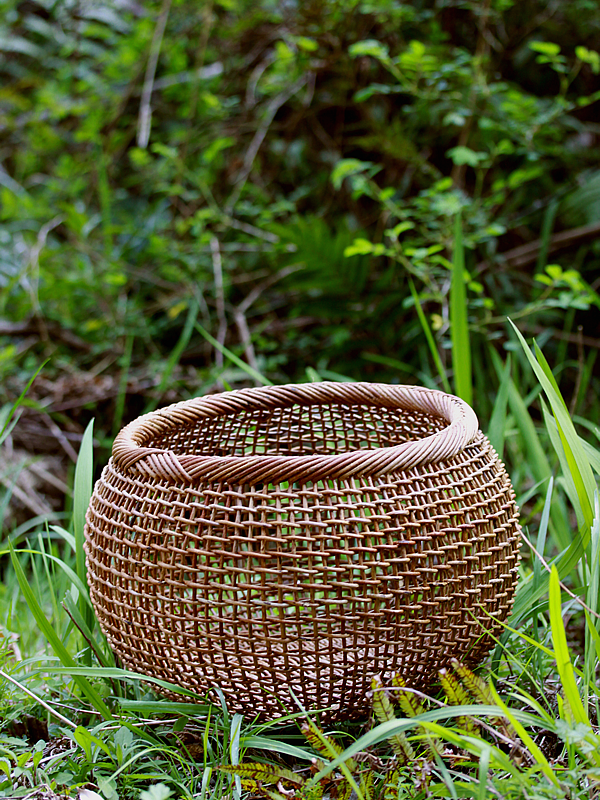 美しいアケビ丸籠 - 竹虎四代目がゆく！