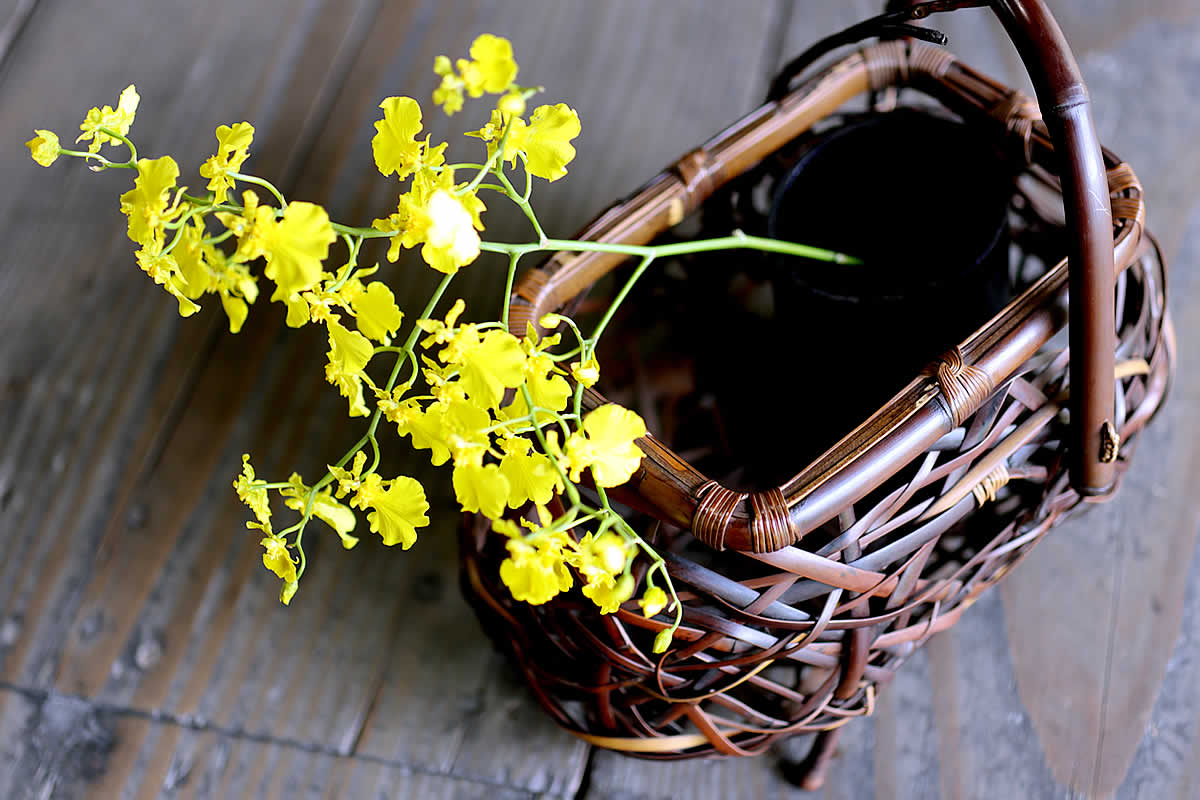 一点限り】渡辺竹清作 鳳尾竹乱れ編み花籠（Japanese bamboo art by