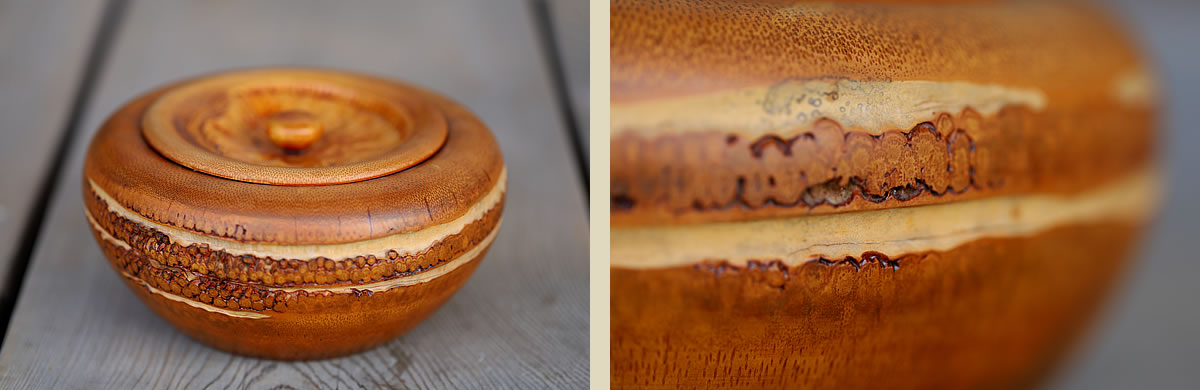 一点限り】竹根菓子器（蓋付) | 虎斑竹専門店 竹虎