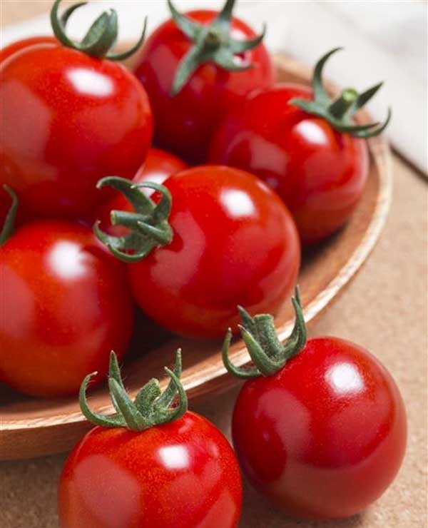 短節間で高温着果性と耐裂果にすぐれ、ヘタどれに強い高品質のミニ