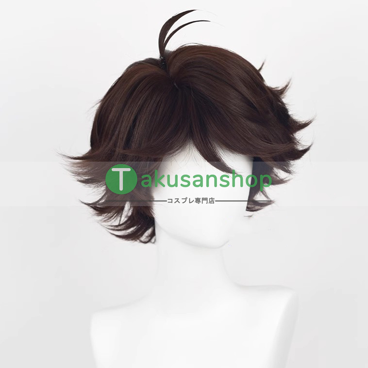 ハイキュー!! 及川徹 コスプレウィッグ wig