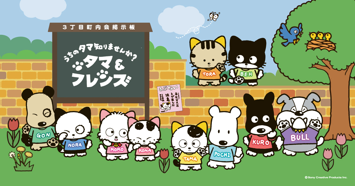 タマ＆フレンズ うちのタマ知りませんか？