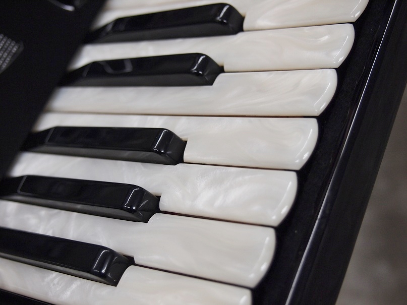 EXCELSIOR Model:308 [Black] 【アコーディオン】 - 谷口楽器