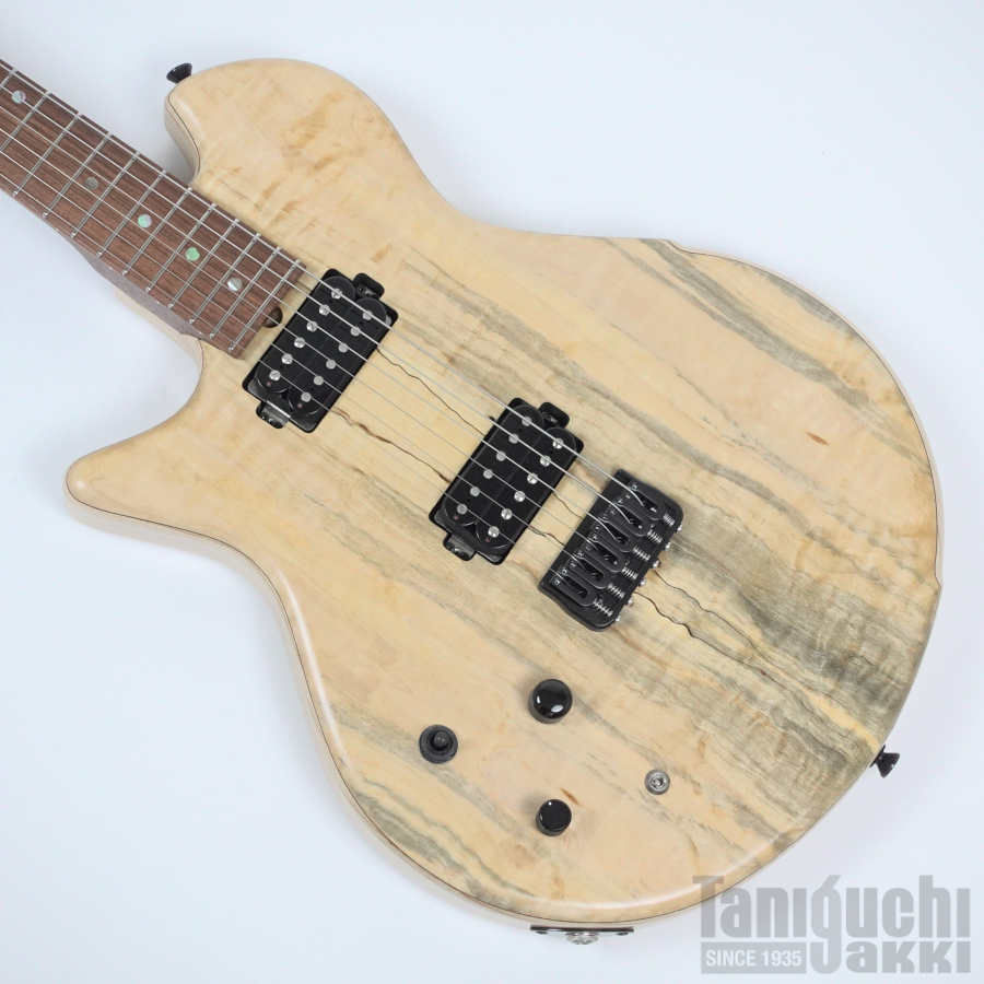 Dragonfly MAROON CUSTOM 648 -Rosewood Neck- Lefty ※SOLD OUT - 谷口楽器