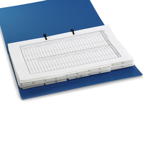 たのめーる】プラス たすけあ レセプト用4-3月インデックス A4タテ 6山