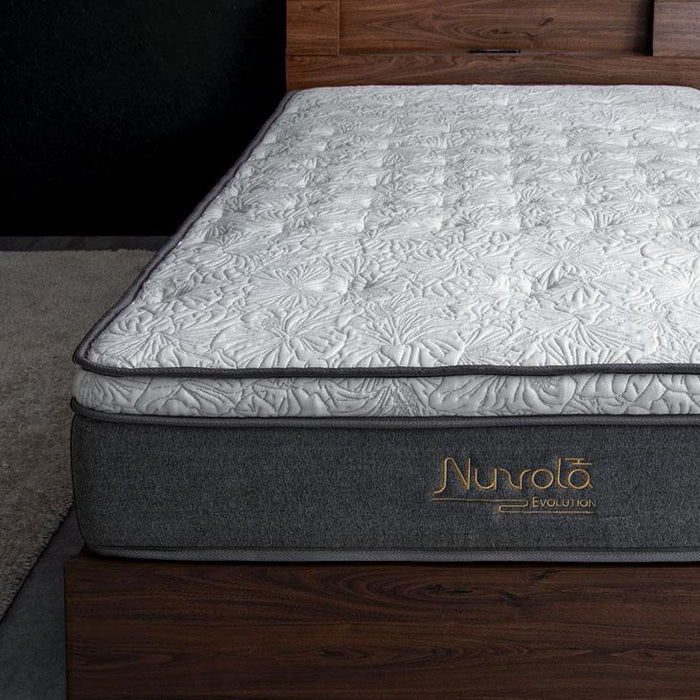 クイーン］極厚28cm ポケットコイルマットレス ピロートップ アロエ