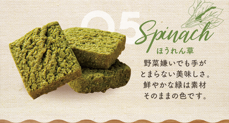 お豆腐屋さんの豆乳おからクッキー1kg | お茶の通販・ギフト