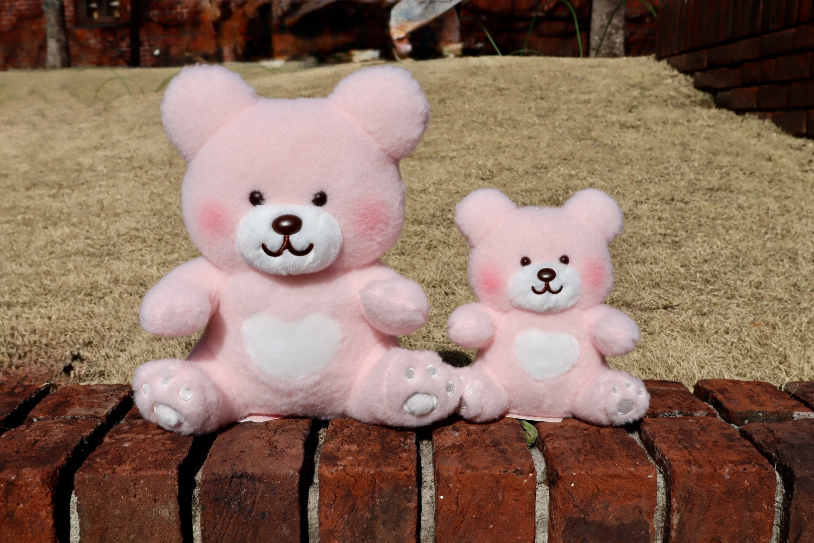 カナヘイの小動物 ゆるっとテディベア・ミュージアム 新商品入荷の