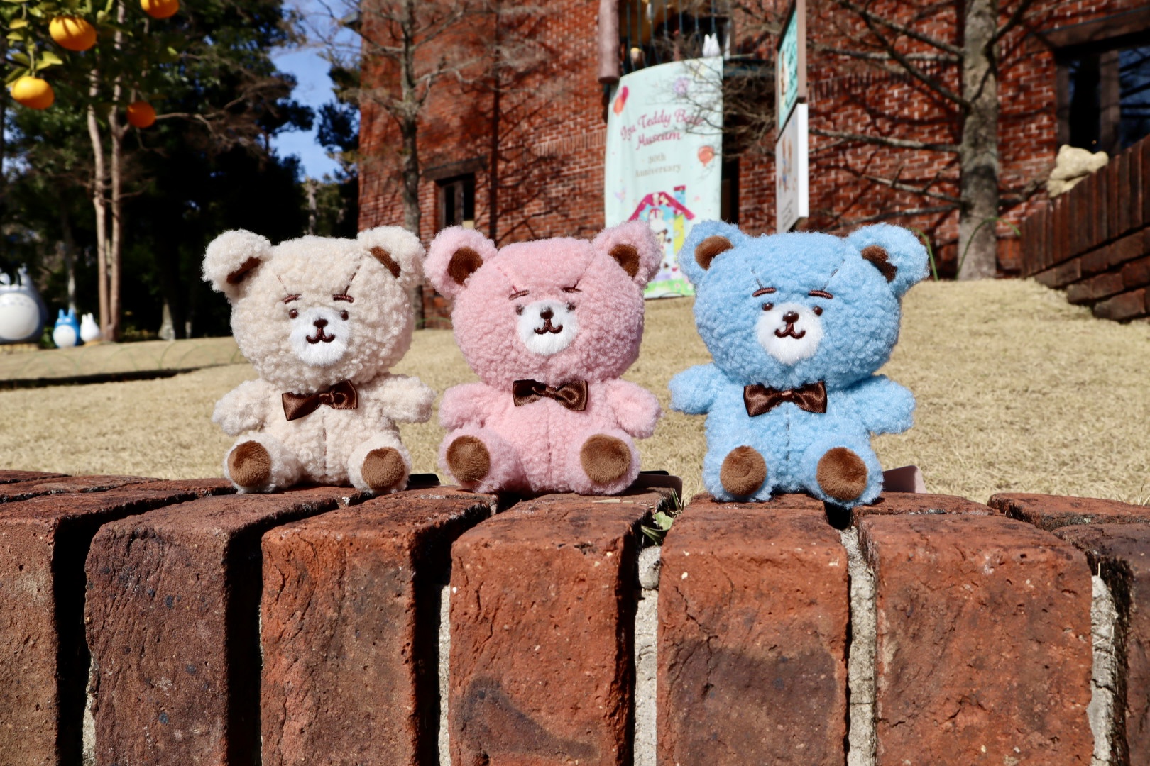 カナヘイの小動物 ゆるっとテディベア・ミュージアム 新商品入荷の