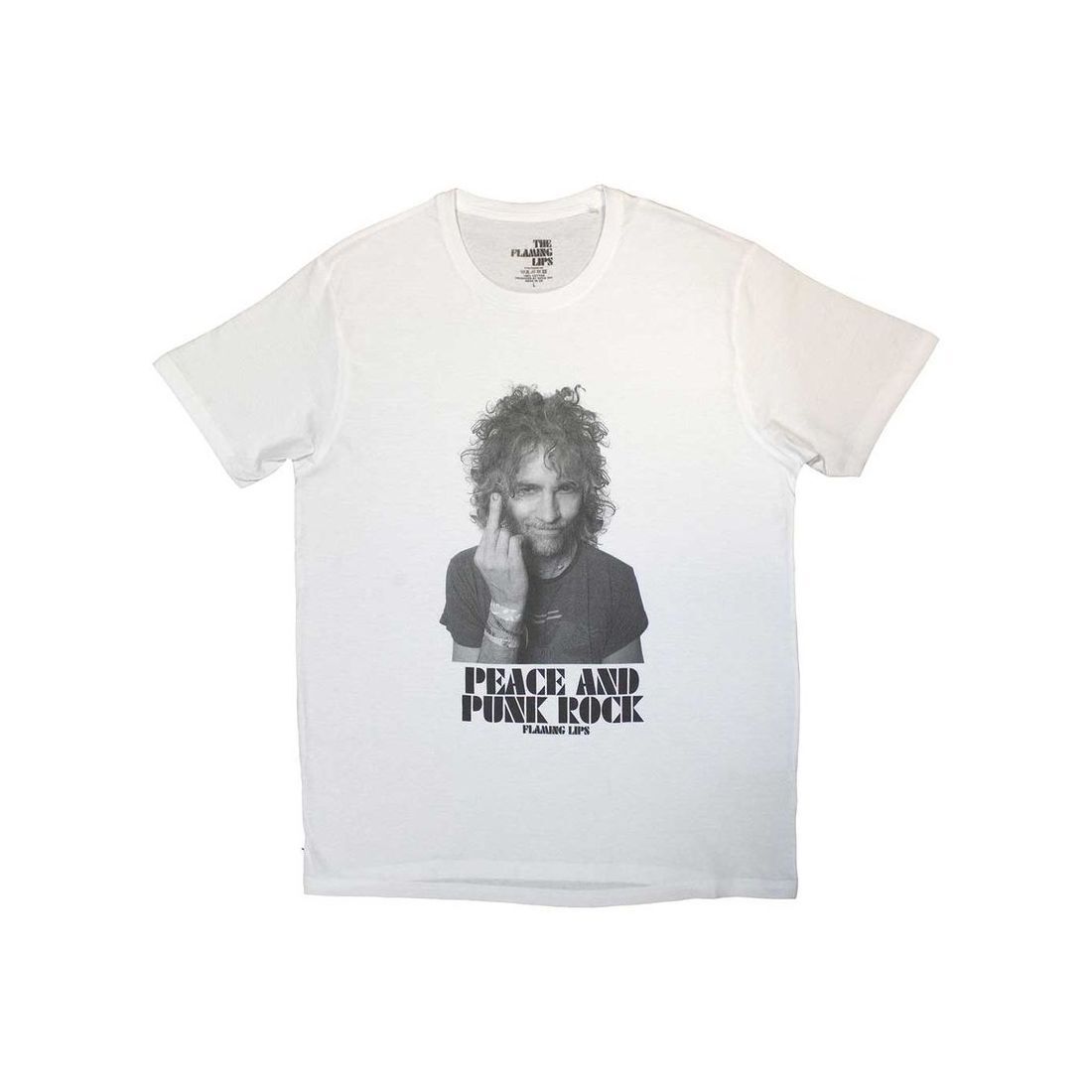 Flaming Lips バンドTシャツ フレーミング・リップス PAPR - バンドT