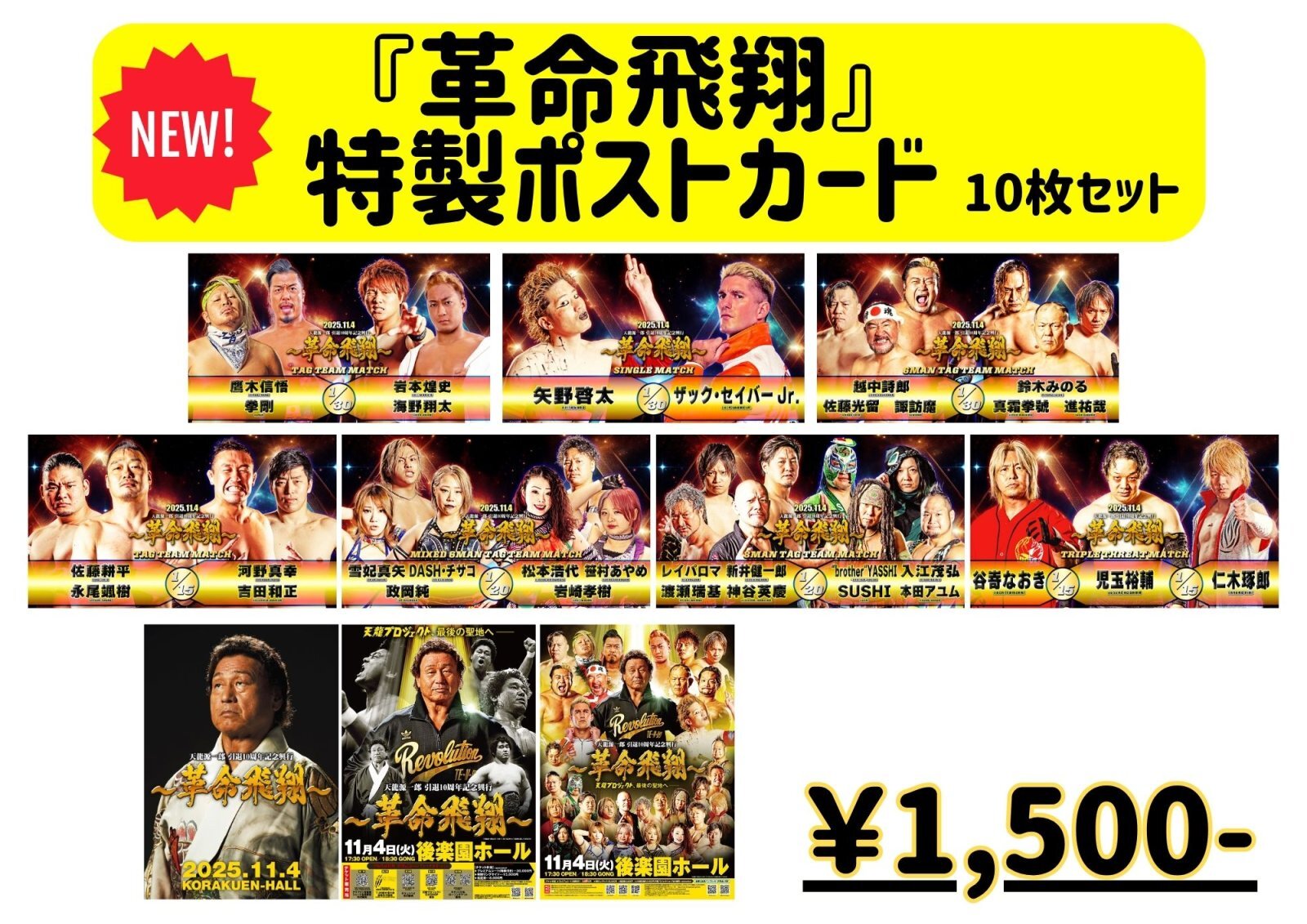 2025.11.4 『天龍源一郎 引退10周年記念興行 ～革命飛翔～』大会直前情報