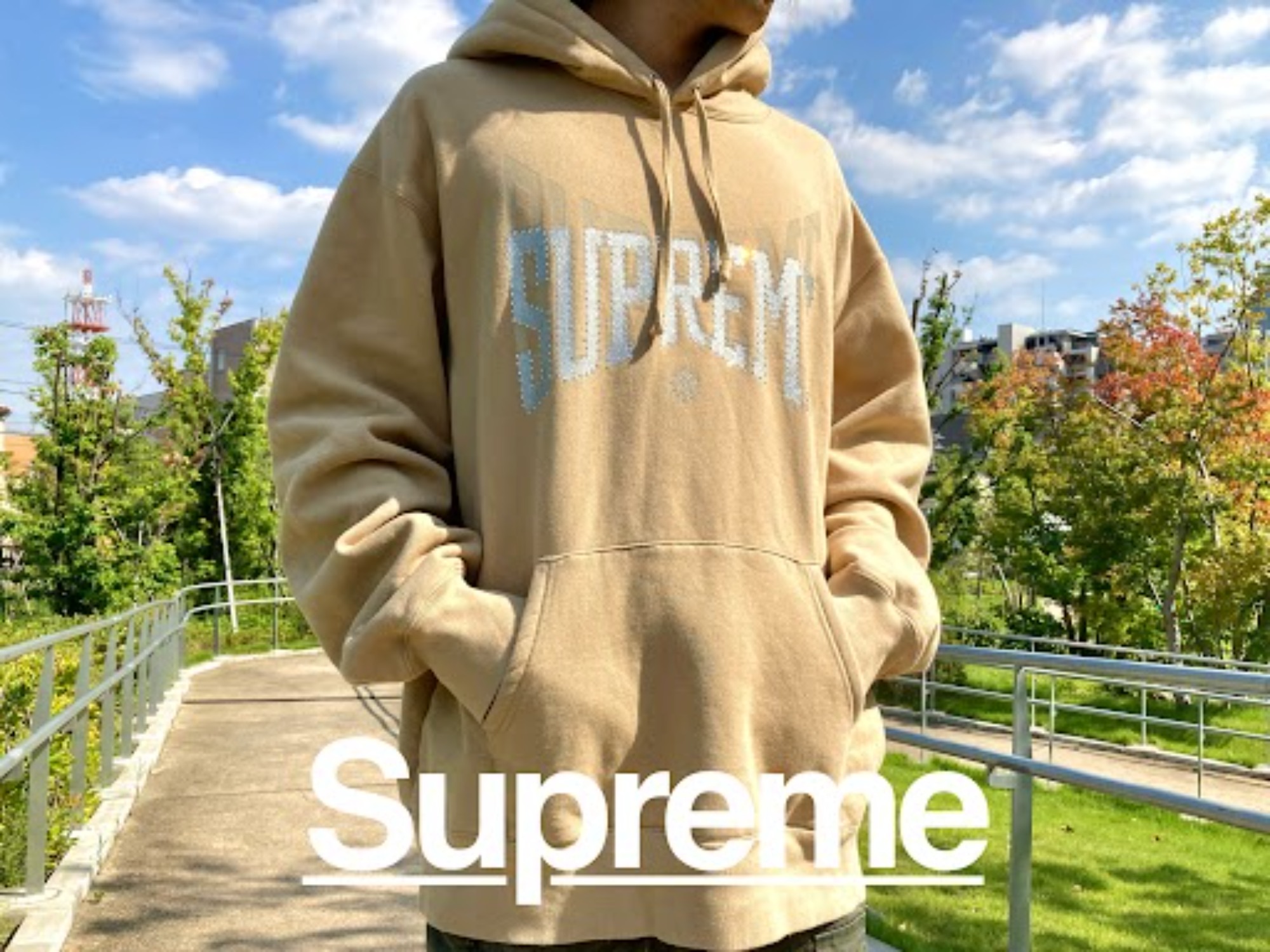SUPREME】より、Rhinestone Shadow Hooded Sweatshirtを買取入荷致し