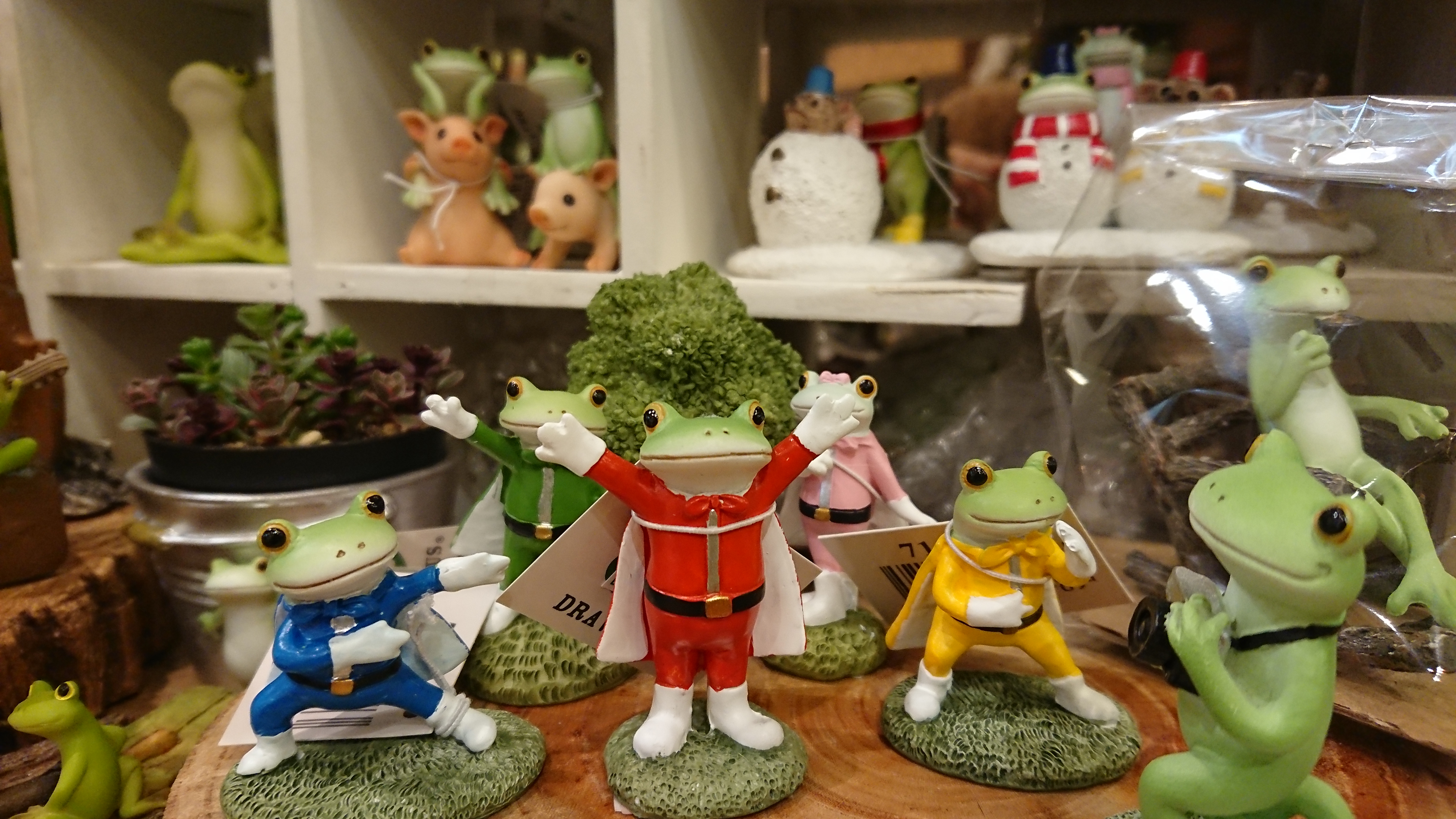 ♪コポーシリーズ入荷しました♪ | ザ・ガーデンの園芸スタッフブログ