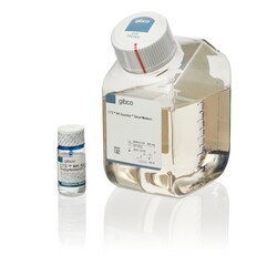 CTS™ NK-Xpander™ Medium 500 mL | Contact Us | Gibco