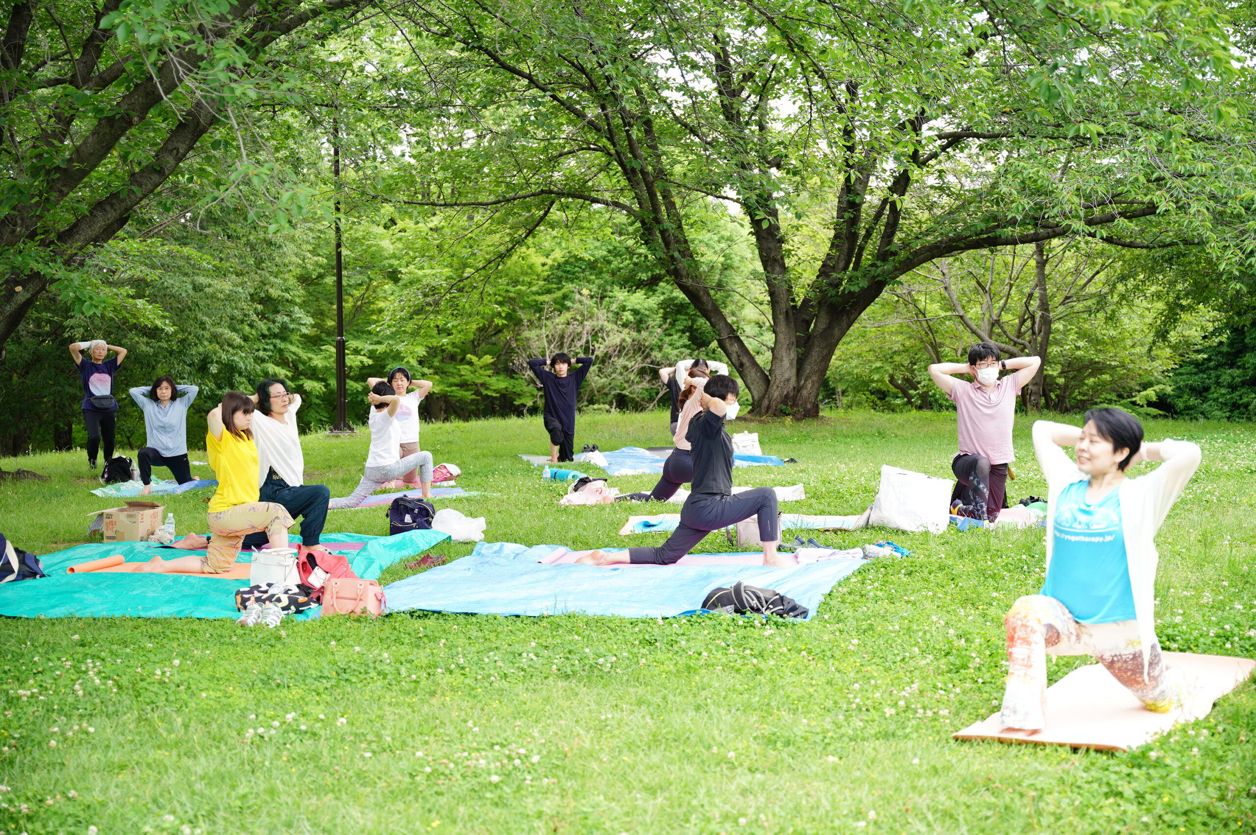 ヨーガ療法は、“気づき”を深める心身相関のセラピー | 特集