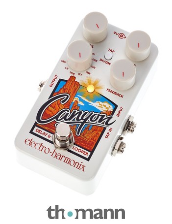 Electro Harmonix Canyon Delay & Looper – United States