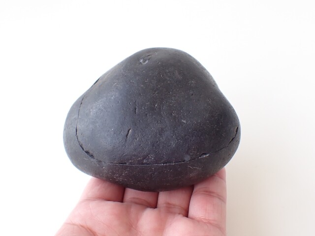 AL0034 【稀少】 ネパール産 アンモナイト 化石／Saligram（サリグラム