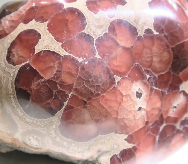 IA1092 【レアもの・超稀少】 北海道 稲倉石鉱山産 ロードクロサイト