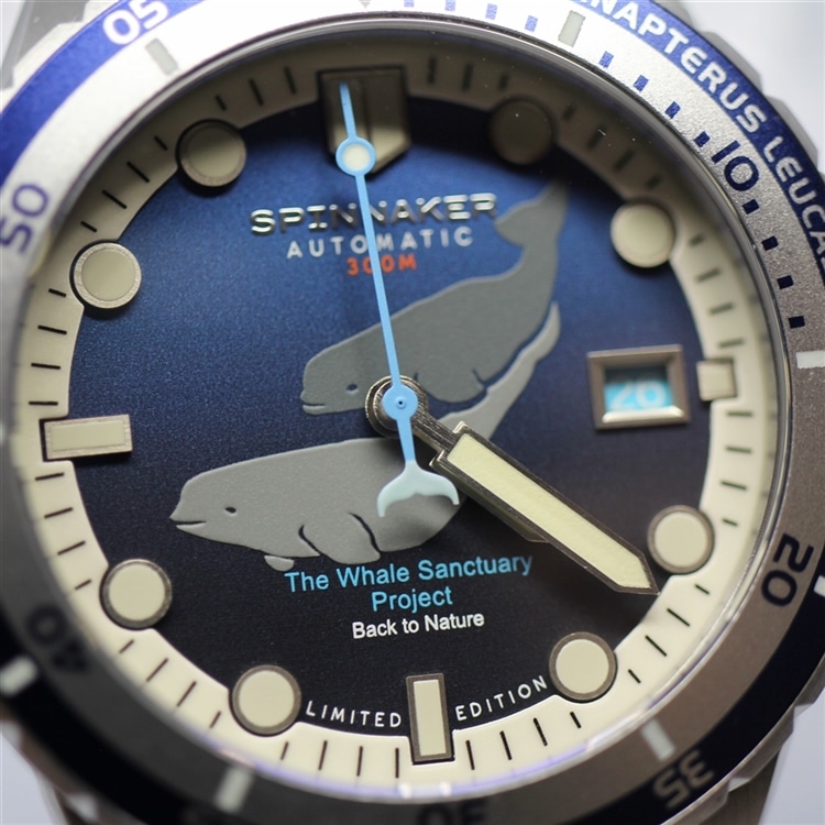 SPINNAKER】ベルーガがデザインされた特別な1本。SP-5128-33をご紹介