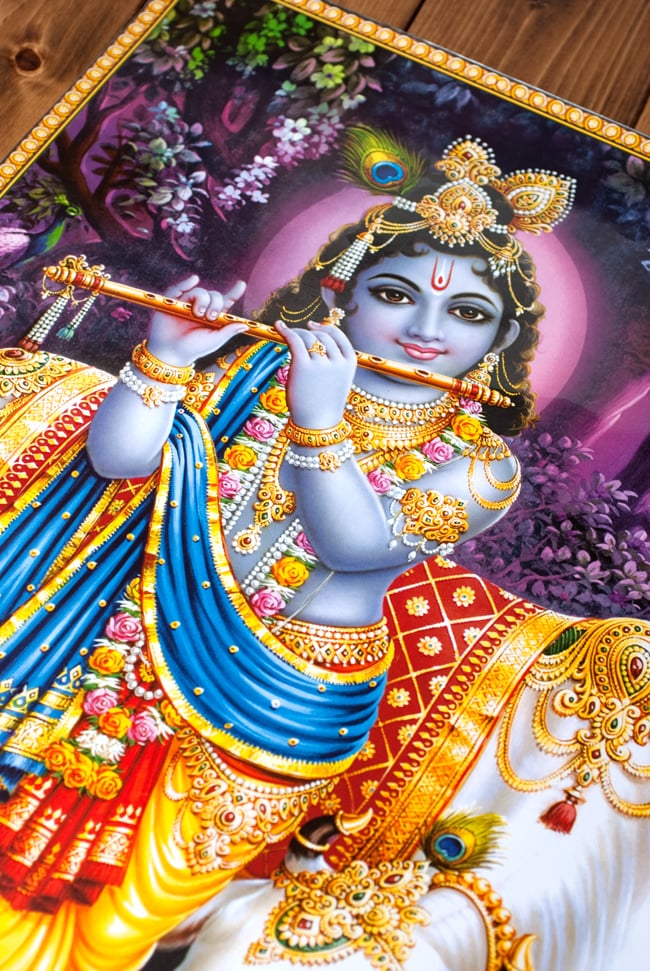 クリシュナ Krishna ポスター ヒンドゥー教 〔約70.5cm×約50.5cm〕大判