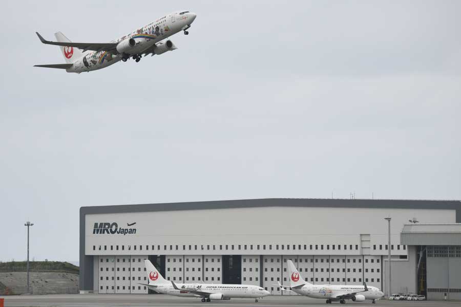 JTA、世界自然遺産特別デザイン機の運航開始 - TRAICY（トライシー）