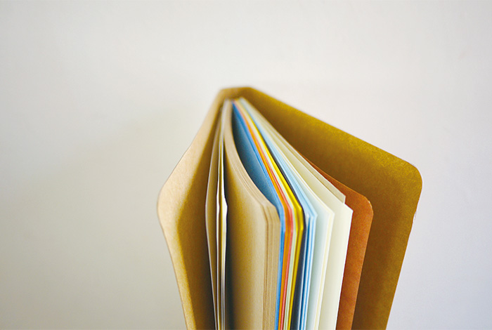 AMU TOKYO x TRAVELER'S COMPANY Spiral Ring Notebook Viking at