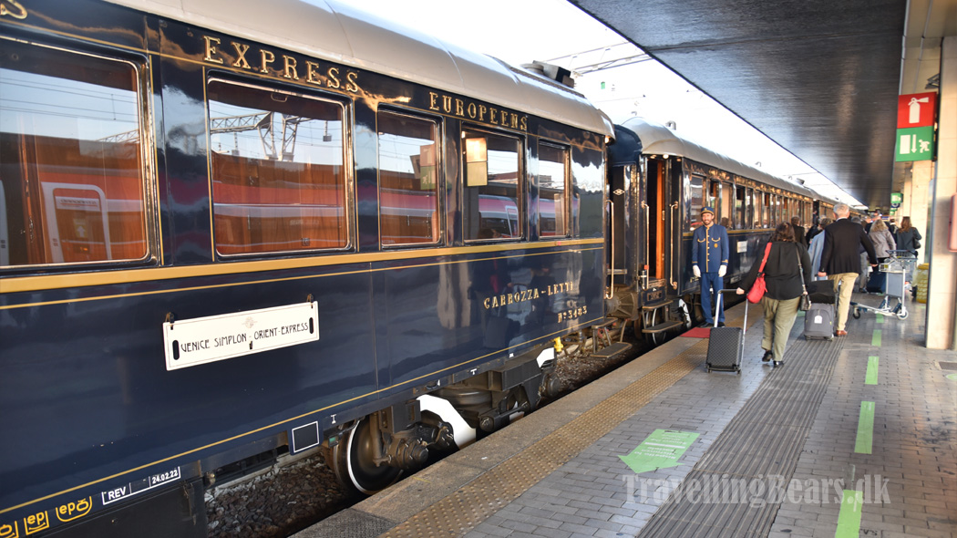 Travelling Bears exploring the World