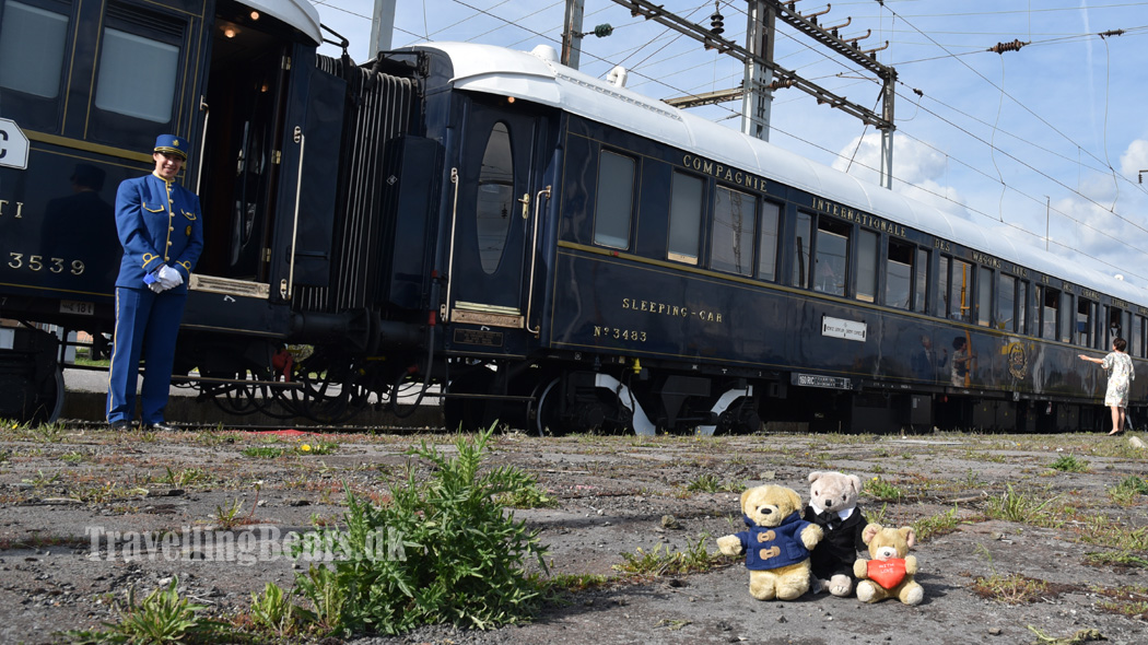 Travelling Bears exploring the World