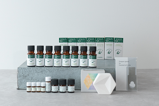 福袋の予約が本日11/1(水)よりスタート！｜生活の木からのニュース