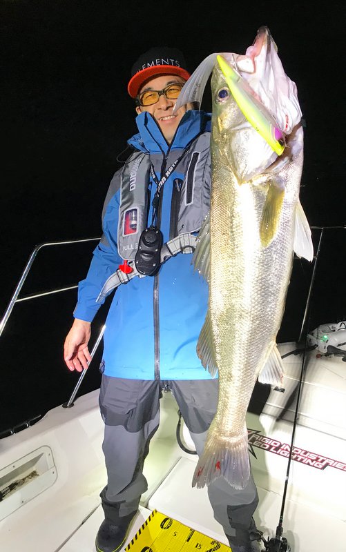 エレメンツ ダヴィンチ190用ランブルフィッシュテール（1個入り