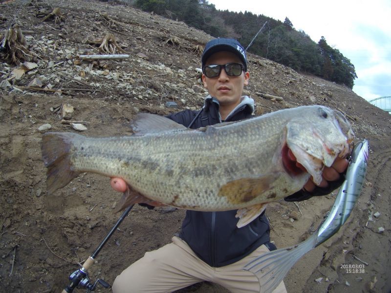 エレメンツ ダヴィンチ190用ランブルフィッシュテール（1個入り