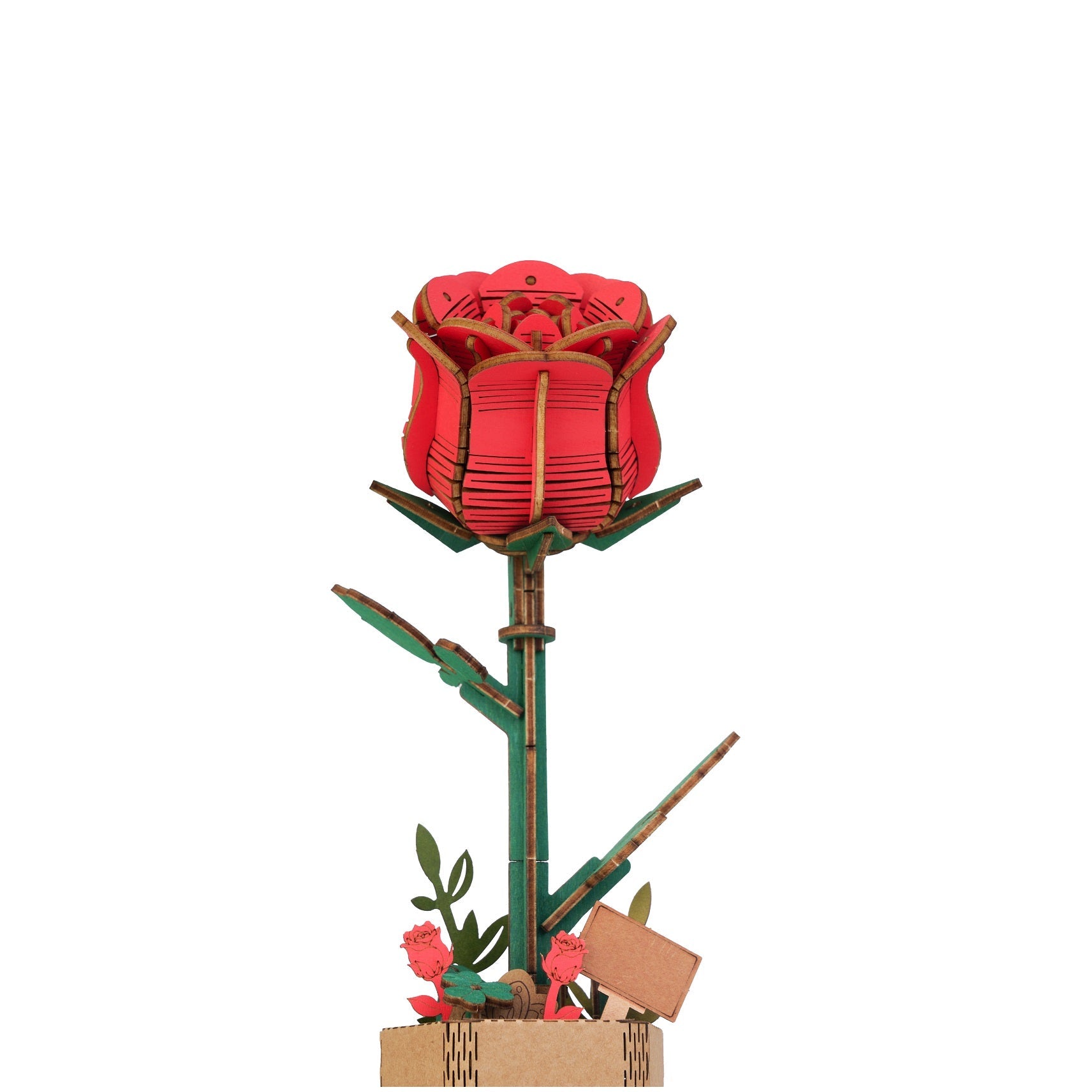 TW041 レッドローズ