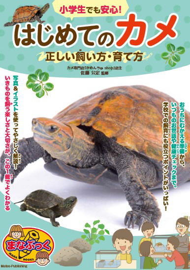 かめんちゅshop2号店で販売中の GEX 大きなカメ島 通信販売！全国発送