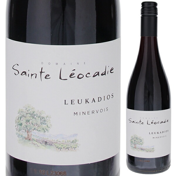 トスカニー イタリアワイン専門店 / ルカディオス 2021 サント