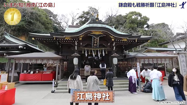 江の島｜2022年4月2日｜出没！アド街ック天国：テレビ東京