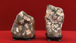 岐阜県根尾谷産 菊花石2点｜開運！なんでも鑑定団｜テレビ東京