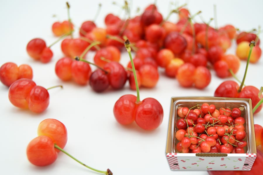 いっしょに食べよ♪双子さくらんぼ佐藤錦約400gバラ詰め