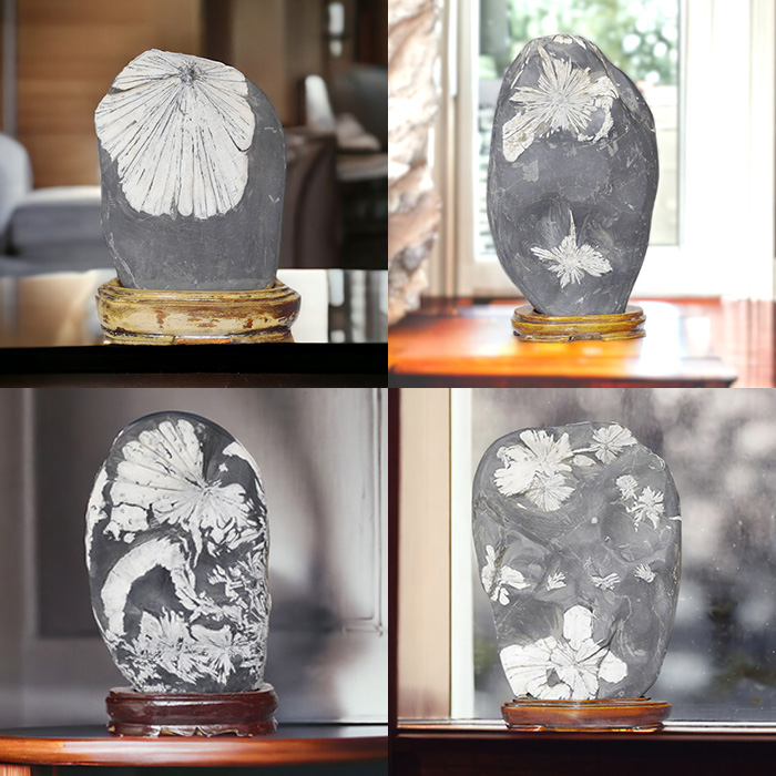 最高峰級に美しい天然鑑賞石『菊花石』販売ページです。健康と